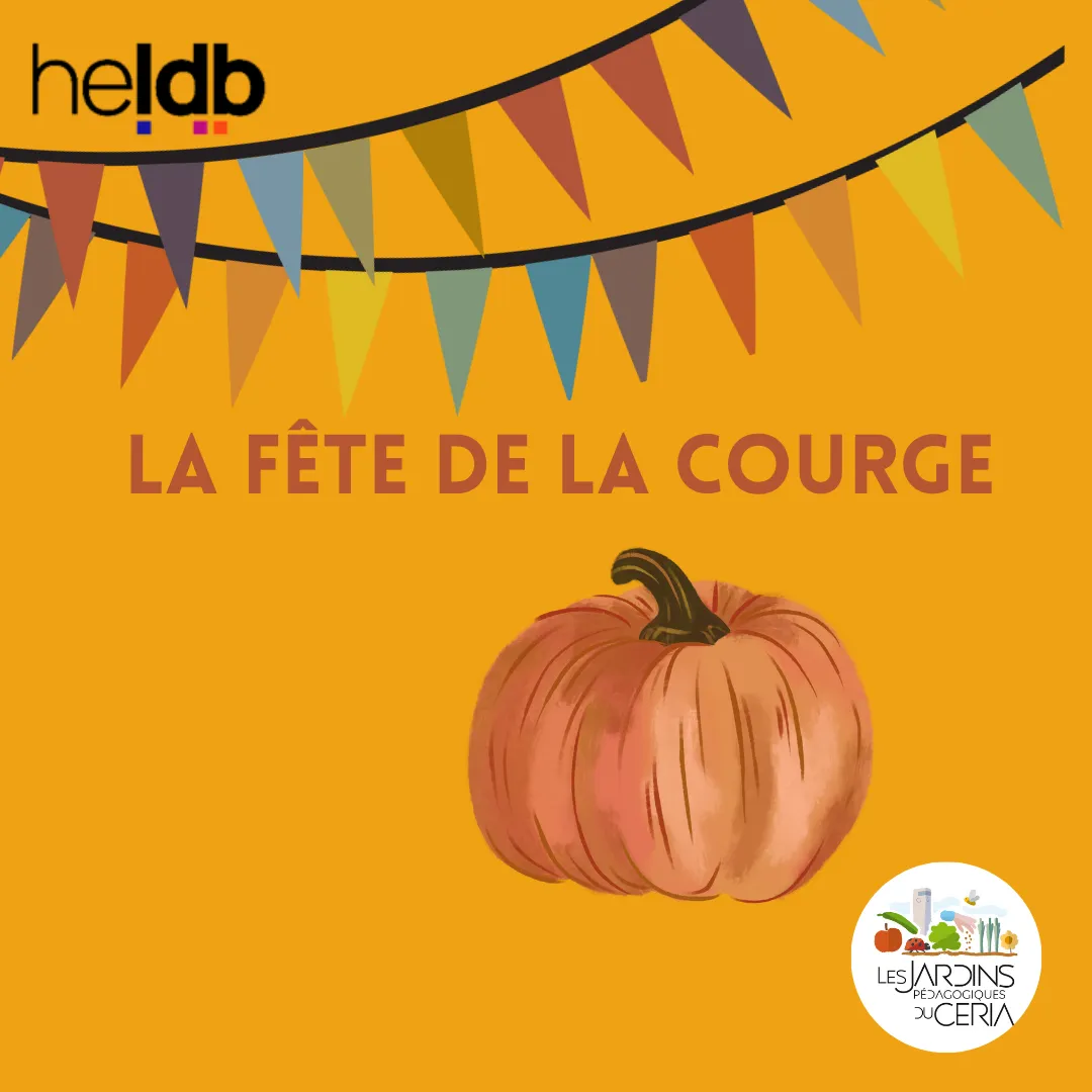 fête de la courge