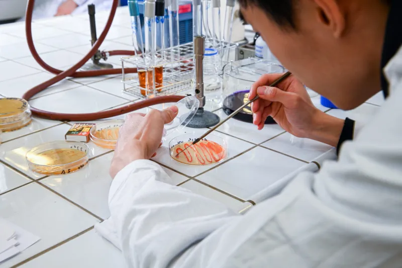 Faire des études en biotechnologie pharmaceutique 