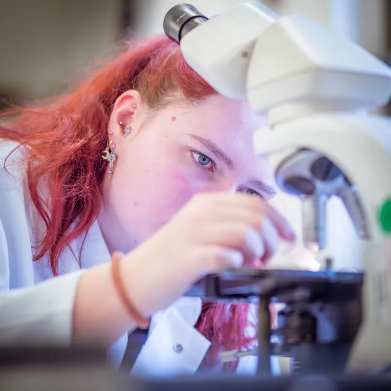 Bachelier & Master - Ingénieur Industriel en Biochimie